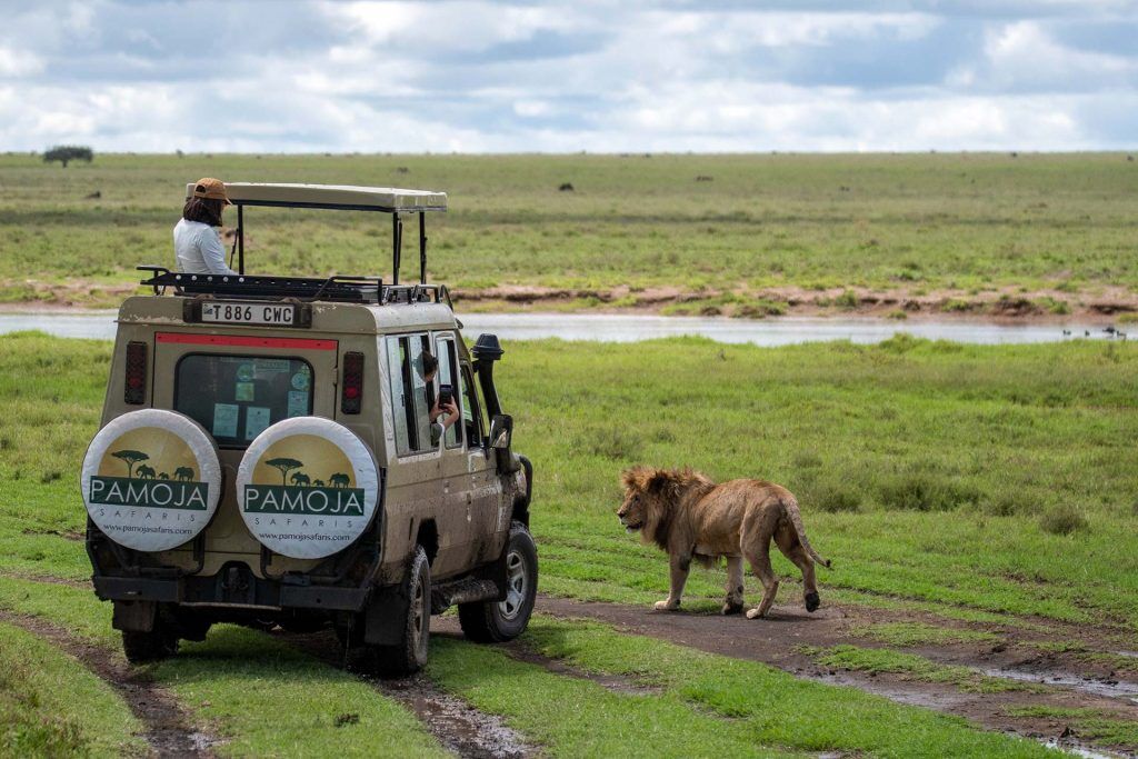 Big Time Safaris, Kenya Safari, Kenya and Tanzania Safaris
